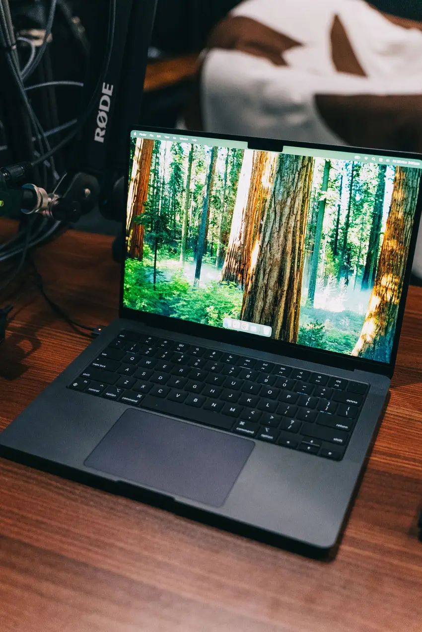 Cavalo Podcast Studio